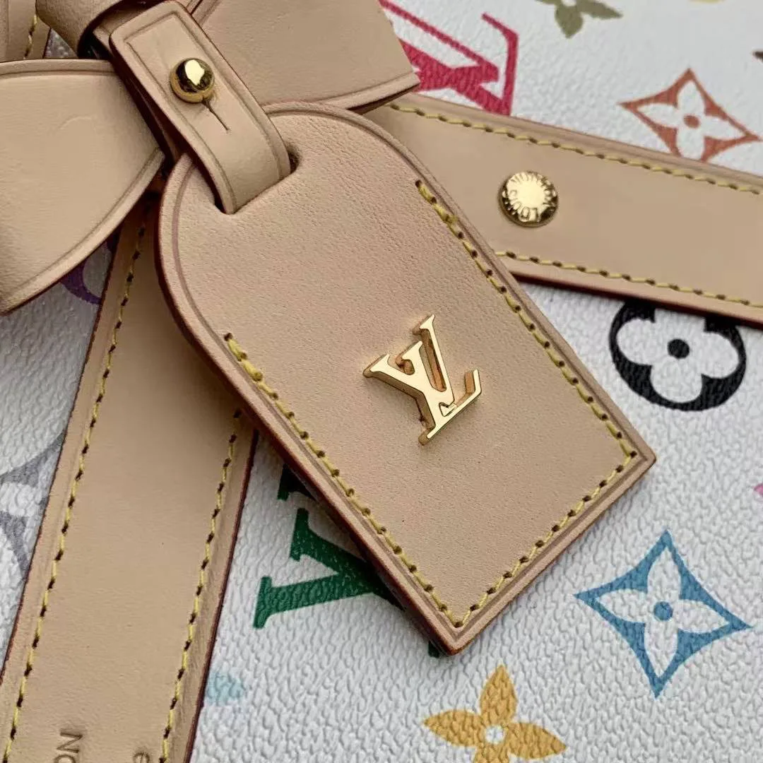 M13741 L.V x TM Dog Bag Pet Carrier Multicolored Monogram Coated Canvas