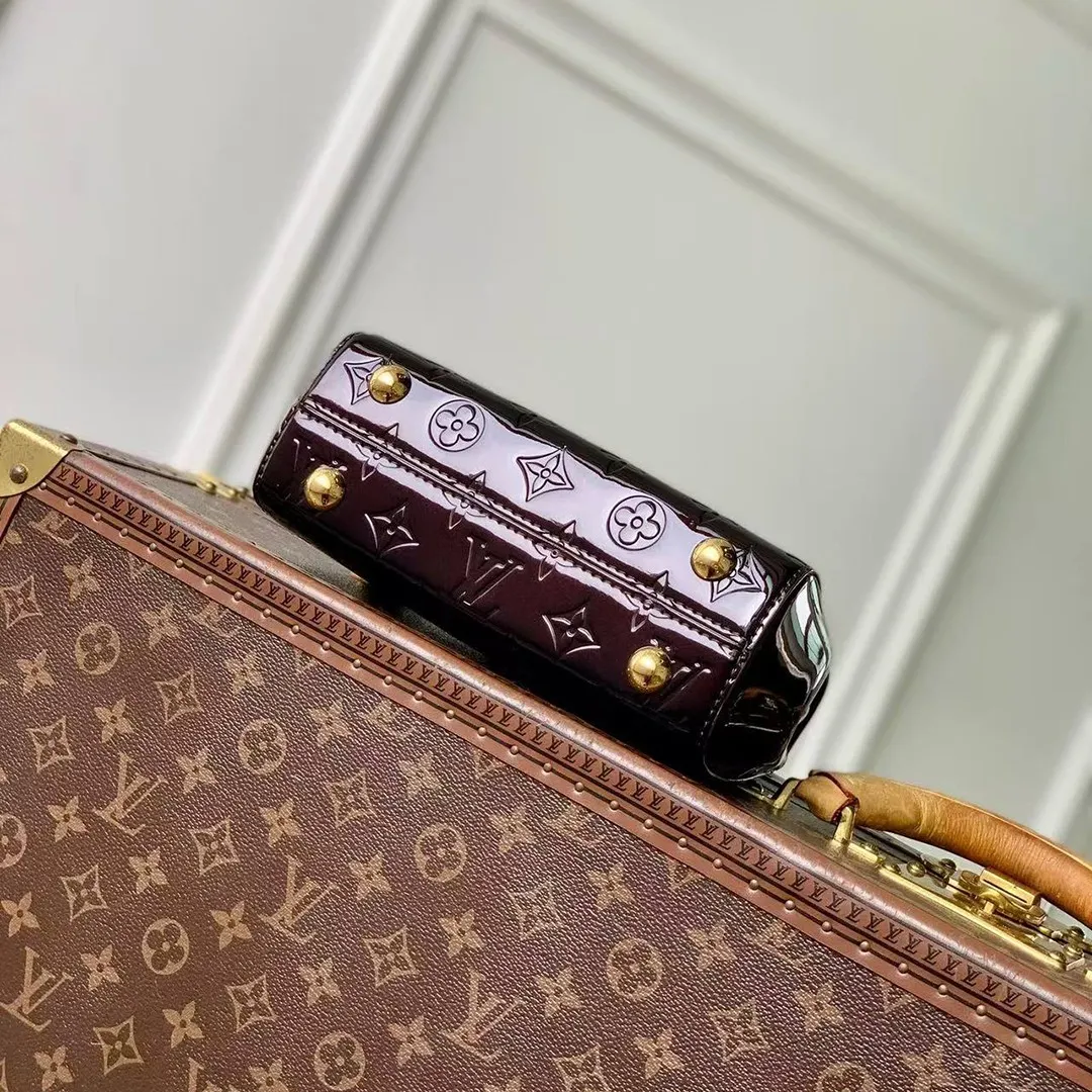 M27173 Cluny Mini Datewood Varnished Cowhide Leather